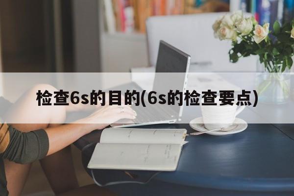 检查6s的目的(6s的检查要点)